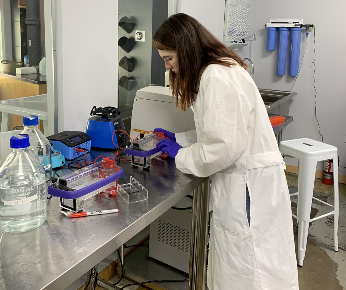 Meet Our Team – Amelia