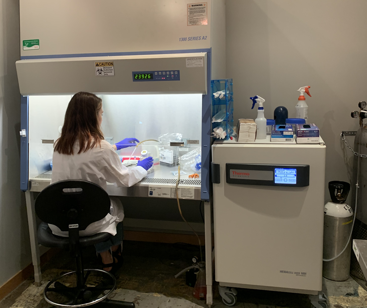 Amelia – Technologist